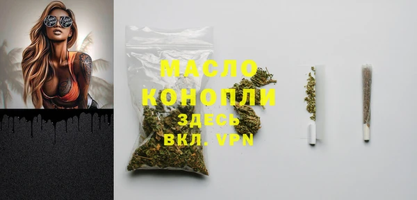 прущая мука Вяземский